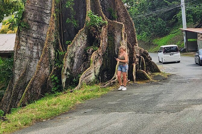 Half Day Tobago Tours with Transfers