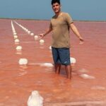 Half day totumo mud volcano and pink sea with lunch - The Practical Side: Transportation, Cost, and Timing