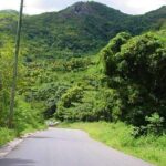 Half-Day Tour: A Taste of Paradise and History of Antigua - Authentic Reviews: What Travelers Say