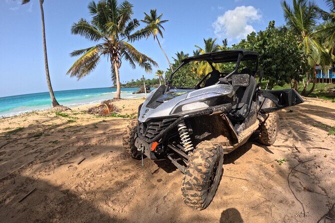 Half Day Tour and Buggie Adventure at Samana - Exploring the Samana Buggie Adventure: What to Expect