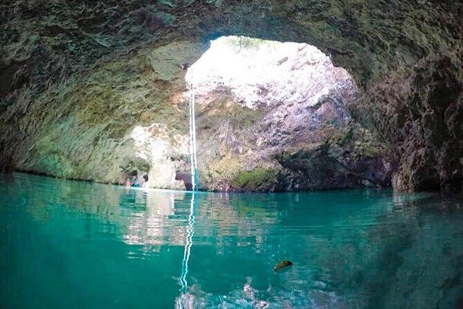 Half-Day Tour in Blue Hole mineral spring Negril with Transportation - Who Will Love This Tour?