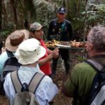 Half Day Tour- Jaguar Jungle Survival - Amazon Rainforest - From Manaus - FAQ