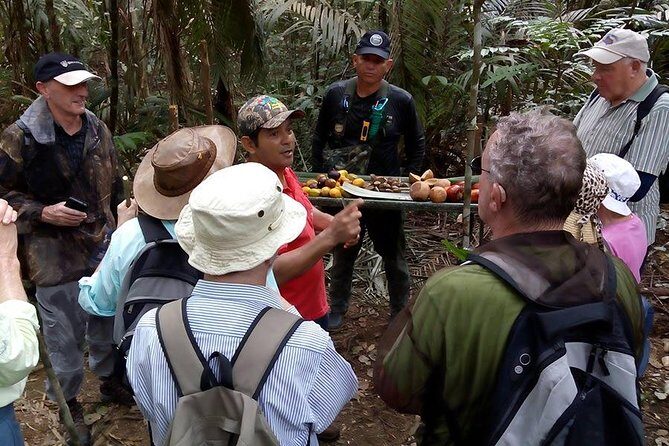 Half Day Tour- Jaguar Jungle Survival - Amazon Rainforest - From Manaus - FAQ