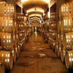 Half Day Tour of Wineries and Olive Oil with Lunch from Mendoza - Frequently Asked Questions
