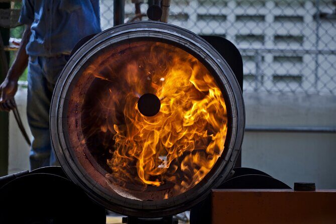 Half-Day Tour: Ron Barceló Factory Experience from Santo Domingo - Detailed Review of the Ron Barceló Factory Experience