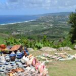 Half Day Tour St Nicholas Abbey and The Barbados Wildlife Reserve - Transportation & Group Size