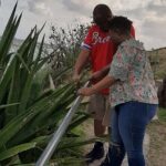 Half-day Tour to St.Maarten Best Island - Authentic Feedback from Travelers