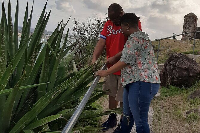 Half-day Tour to St.Maarten Best Island - Authentic Feedback from Travelers