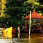 Half Day Tour to the Tigre Delta with Navigation - Authentic Experiences Not to Miss