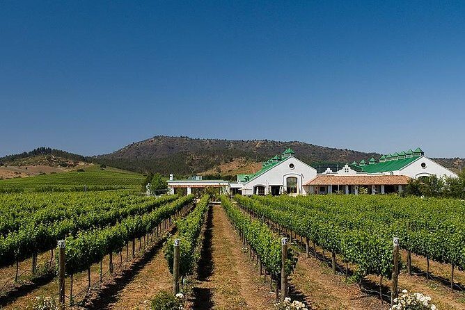 Half Day Trip to Casas del Bosque Vineyard from Santiago - Wine Tasting Included - Exploring the Casas del Bosque Vineyard and Its Surroundings