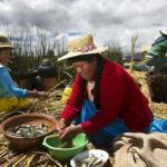 Half-Day Uros Floating Islands Tour from Puno - Analyzing the Value