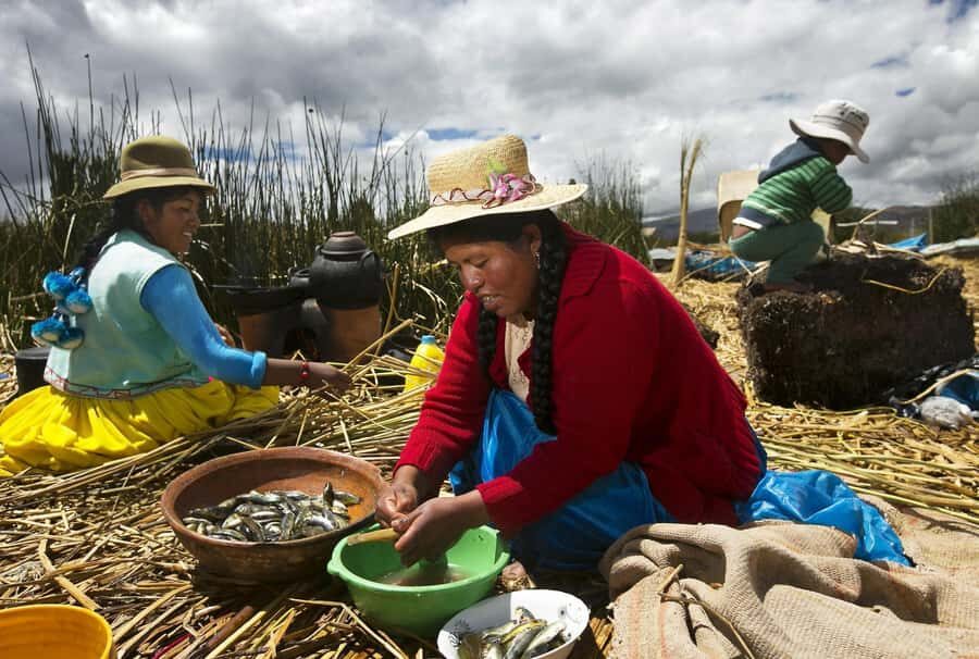 Half-Day Uros Floating Islands Tour from Puno - Analyzing the Value