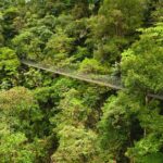 Hanging Bridges Adventure San Luis From San Jose - Who Will Love this Tour?