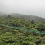 Hanging Bridges & Tour Guide From Monteverde - The Journey Through Monteverdes Cloud Forest Canopies