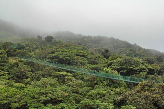 Hanging Bridges & Tour Guide From Monteverde - The Journey Through Monteverdes Cloud Forest Canopies