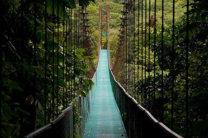 Hanging Bridges Twilight Walk in Arenal Volcano - Who Will Love This Tour?