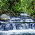 Hanging Bridges, Waterfall, Volcano Hike and Tabacon Hot Springs - Starting the Day: Arenal Hanging Bridges