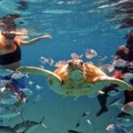 Harbour Lights-Chair &Turtle Shipwreck Snorkel Tour(10:30-1:30pm) - Frequently Asked Questions