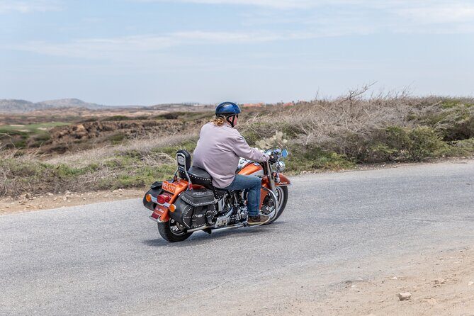 Harley-Davidson RENTALS ONLY 8 hrs - Why This Tour Offers Value