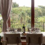 Harmonized Lunch at Esterina Restaurant - Vinhos Cristofoli - A Deep Dive into the Experience