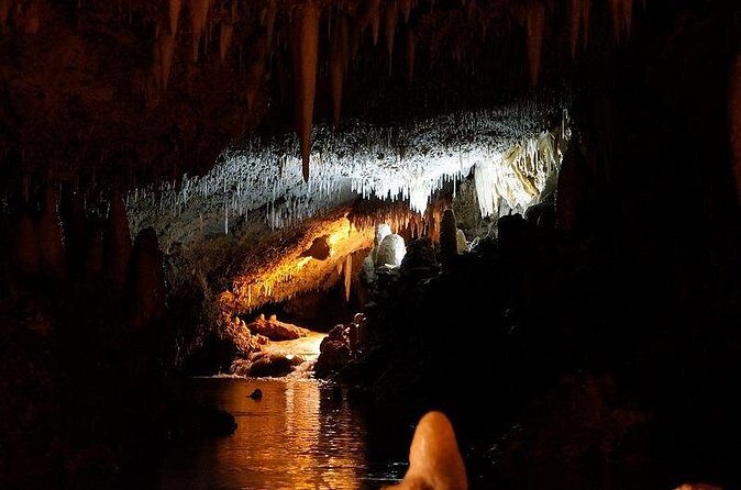 Harrison's Cave Tour in Barbados - Who Should Do This Tour?