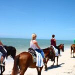 Heritage Beach Horseback Riding Tour - Why This Tour Works Well