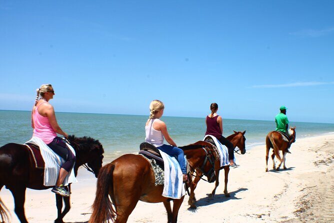 Heritage Beach Horseback Riding Tour - Why This Tour Works Well