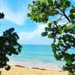 Hidden Fresh Spring of Water+ Cave+ Beach & Food Full Day Tour - Authentic Encounters and Personal Touches