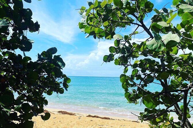 Hidden Fresh Spring of Water+ Cave+ Beach & Food Full Day Tour - Authentic Encounters and Personal Touches