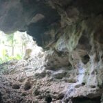 Hidden Gems of the North, Puerto Rico Private Tour - Who Should Book This Tour?