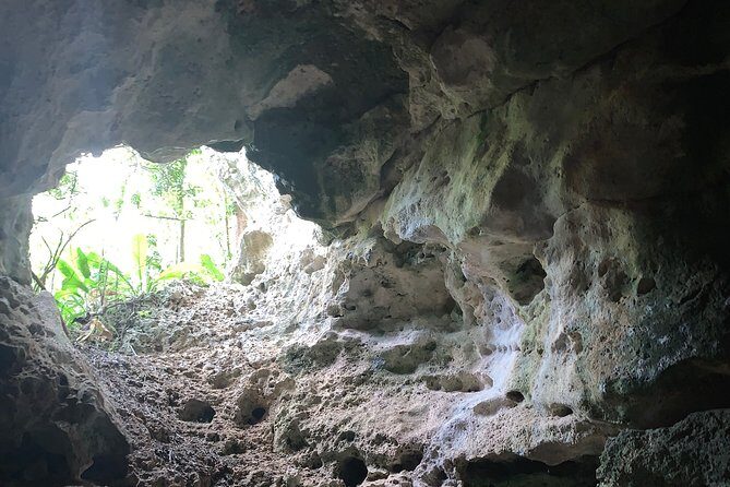 Hidden Gems of the North, Puerto Rico Private Tour - Who Should Book This Tour?