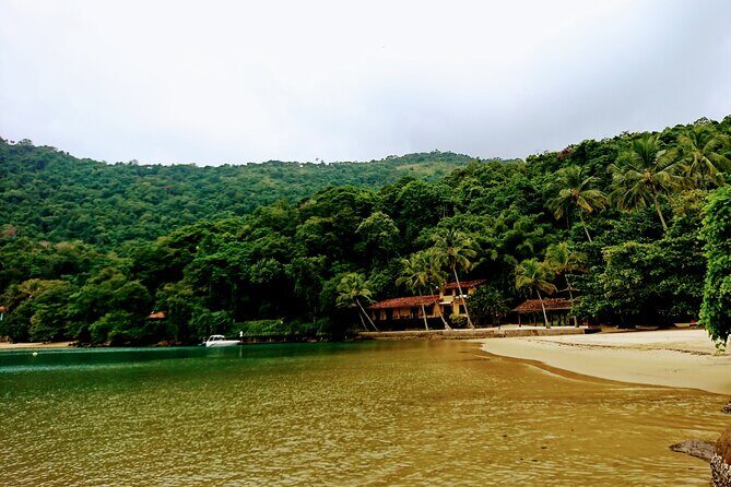 Highlights of Abraão Cove on a Half Day Hike in Ilha Grande - A Closer Look at the Abraão Cove Half-Day Hike