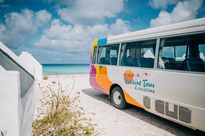 Highlights of Bonaire - A Deep Dive into Bonaire’s Highlights