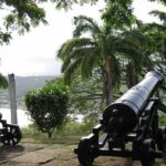 Highlights of Tobago Tour - Discovering Tobago’s Sights in a Compact Tour