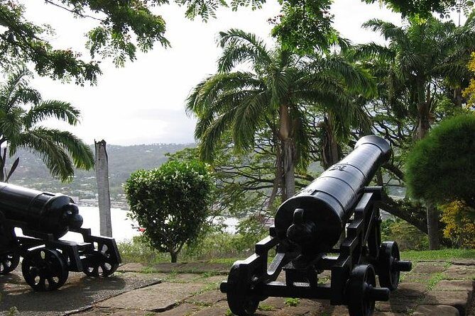 Highlights of Tobago Tour - Discovering Tobago’s Sights in a Compact Tour