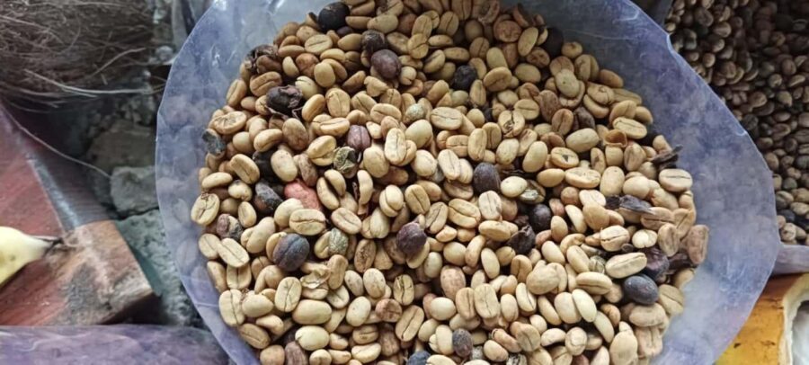 Higuey discovery, coffee and cocoa tasting from punta cana