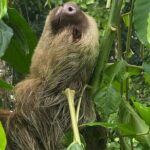 Hike Adventure in Cahuita National Park - Why This Tour Appeals