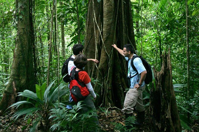 Hike at Rainforest Adventures Costa Rica Braulio Carrillo - Practical Details: What You Need to Know