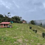 Hike in the El Oso reserve: a paradise for nature & adventure lovers - The experience with your guide