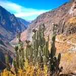 Hike inside the Colca Canyon 2 DAYS with meals in Arequipa - Who Should Consider This Tour?