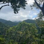 Hike St Kitts: Wingfield Rainforest and Romney Experience - In-depth Breakdown of the Itinerary