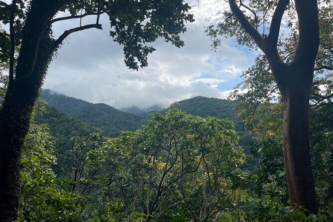 Hike St Kitts: Wingfield Rainforest and Romney Experience