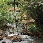 Hike through Secret Waterfalls in Foz do Iguaçu (Part-time - Morning) - The Experience: A Detailed Look into the Tour