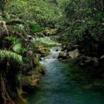 Hike to "Vuelta de Cañón" waterfall at the foot of Poas volcano. - Key Points