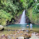 Hiking Adventure - A Deep Dive into the Grenadian Rainforest Adventure