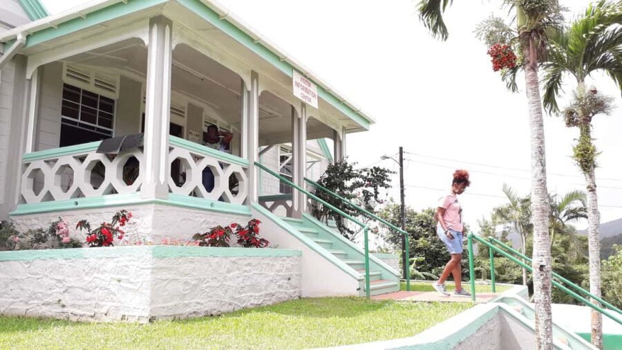 Hiking Adventure Through Grand E'tang RainForest - Exploring the Rainforest of Grenada: A Detailed Review