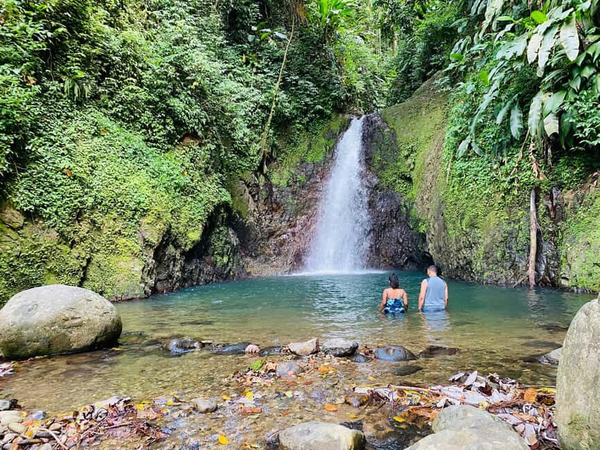 Hiking Adventure - A Deep Dive into the Grenadian Rainforest Adventure