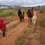 Hiking and Textile Workshop (Cuzco): ANDEAN COLORS - FAQ