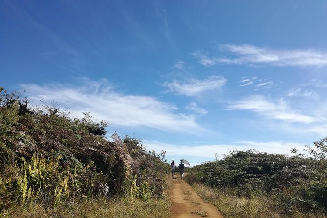 Hiking Day Trip to Sierra Negra Volcano Galapagos - Final Thoughts