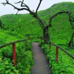 Hiking in Lima, Lomas de Lachay - Who Should Consider This Tour?